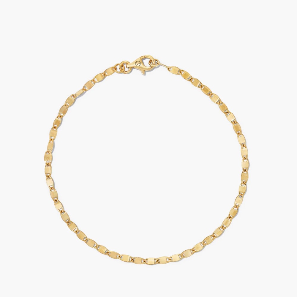 Mejuri 14kt Gold Anchor Chain Anklet